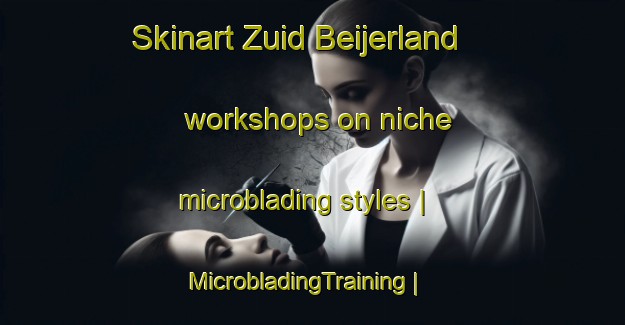 Skinart Zuid Beijerland workshops on niche microblading styles | MicrobladingTraining | MicrobladingClasses | SkinartTraining-Netherlands
